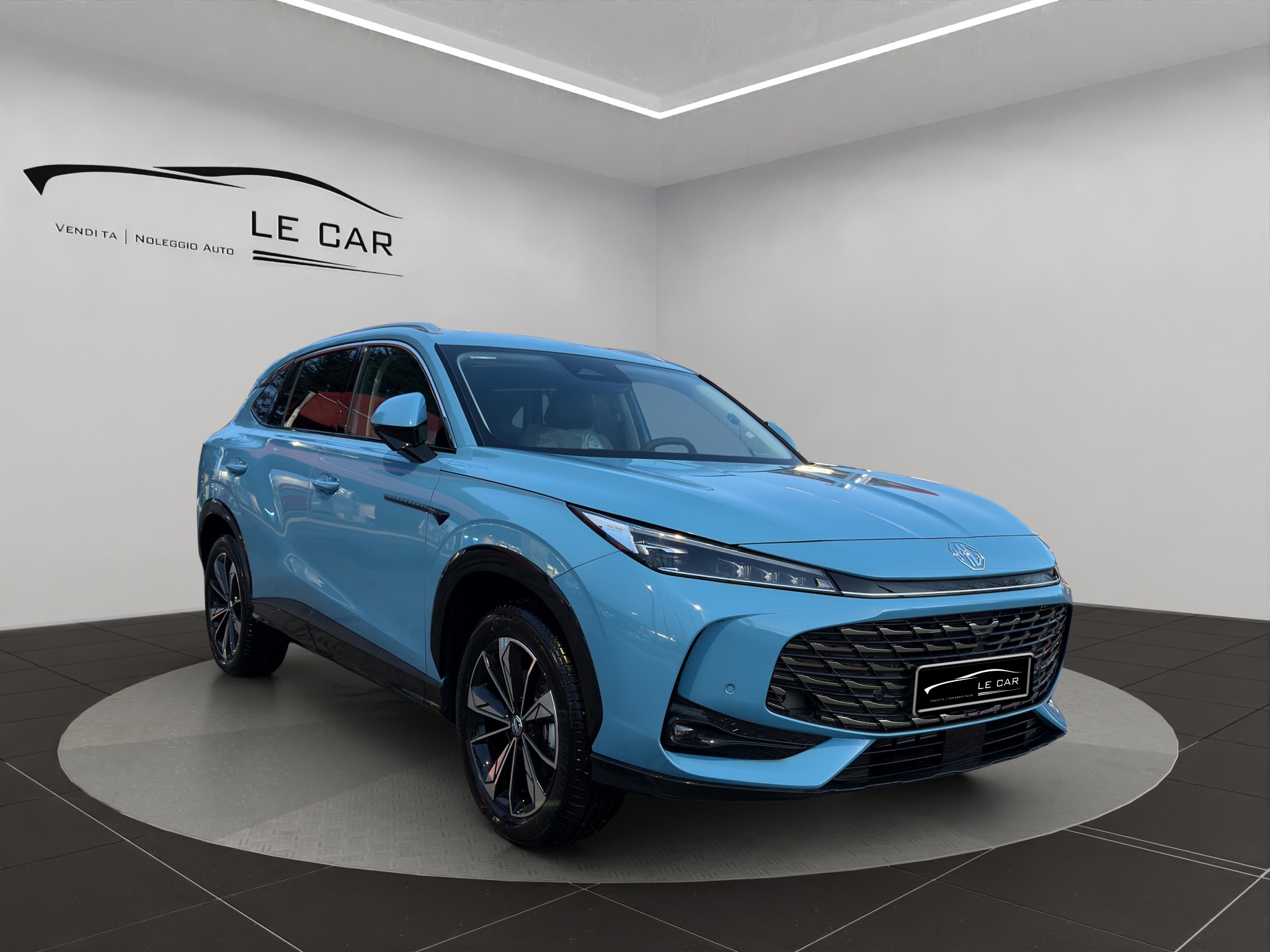 LSJW94U97RG030616_08