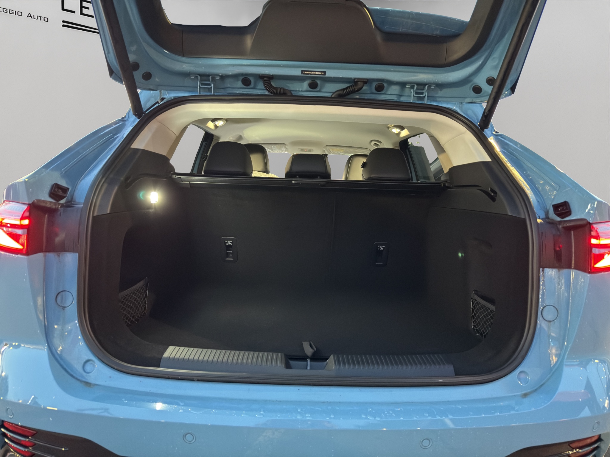 LSJW94U97RG030616_20