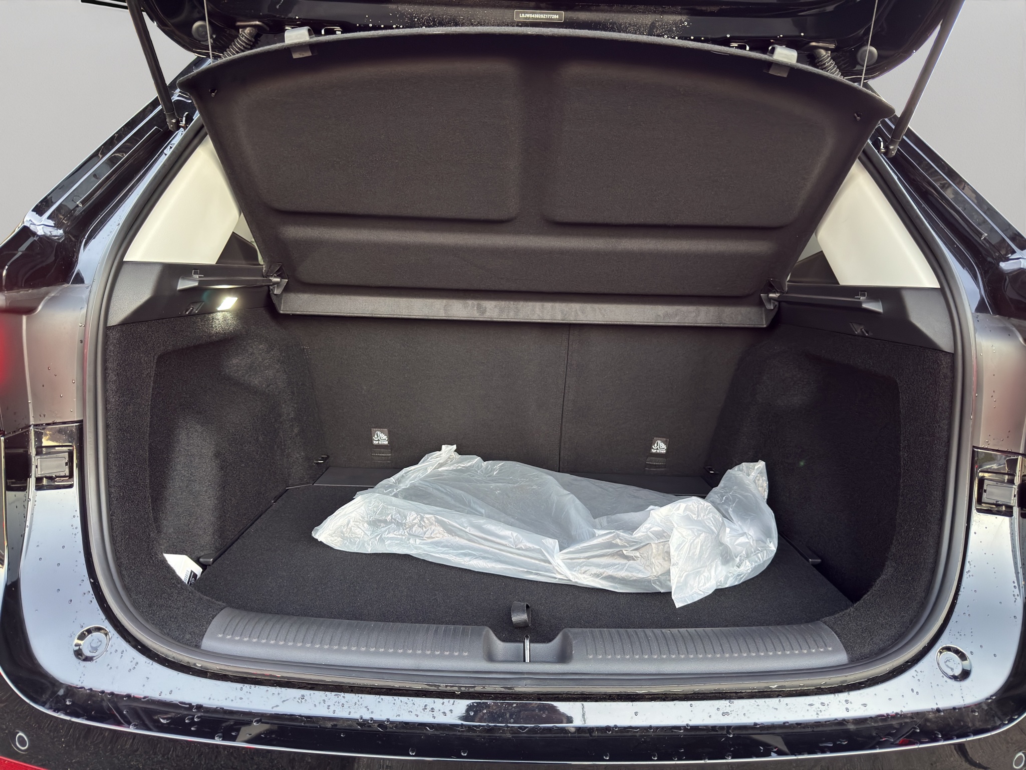 LSJWS4992SZ177204_20